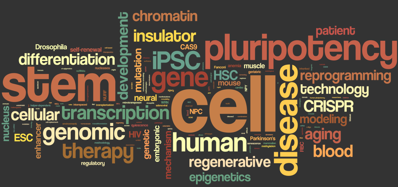 Li lab word cloud